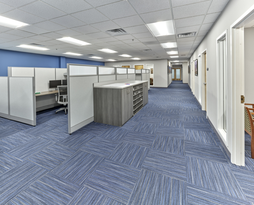 Audio Visual Installation & Technology Services - Bluestone ...